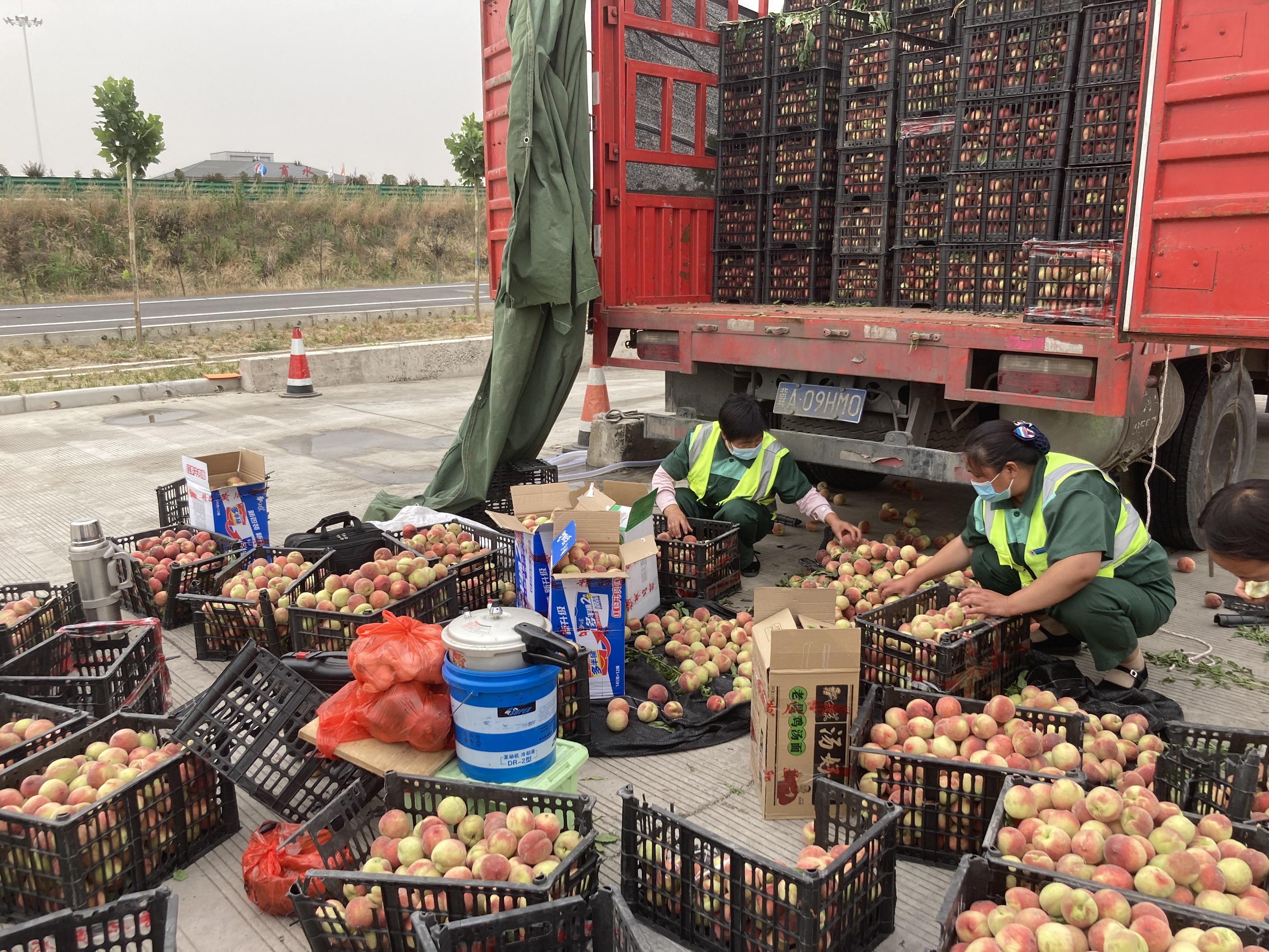 圖說:6月4日,一輛運(yùn)輸水果的貨車在行駛到商水服務(wù)區(qū)下道口時(shí),由于速度過快,車輛發(fā)生側(cè)翻事故,車上滿載的水果隨車輛拋灑一地。服務(wù)區(qū)及時(shí)救援,并組織員工不畏炎熱幫助車主撿拾水果。.jpg 圖說:6月4日,一輛運(yùn)輸水果的貨車在行駛到商水服務(wù)區(qū)下道口時(shí),由于速度過快,車輛發(fā)生側(cè)翻事故,車上滿載的水果隨車輛拋灑一地。服務(wù)區(qū)及時(shí)救援,并組織員工不畏炎熱幫助車主撿拾水果。.jpg